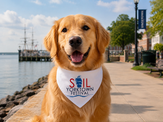 Clip-on Pet Bandana